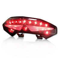 LED Rücklicht für Ducati Multistrada 1200 (2010-2014)